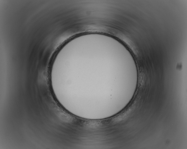 X0000089461074200707131943