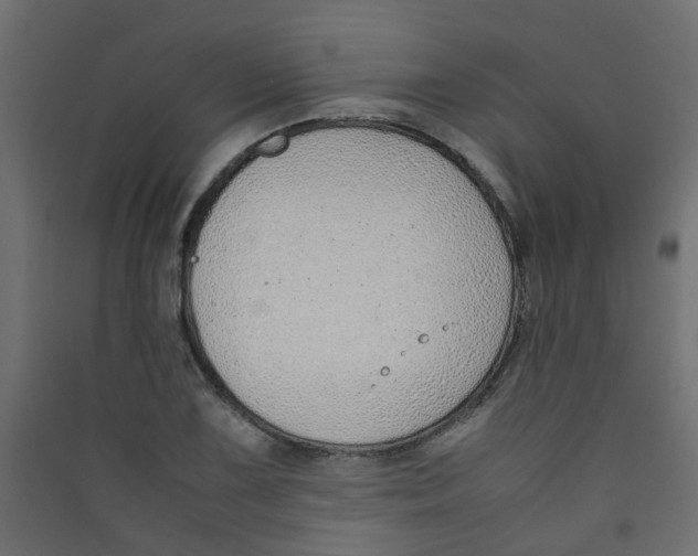 X0000089461075200707131943