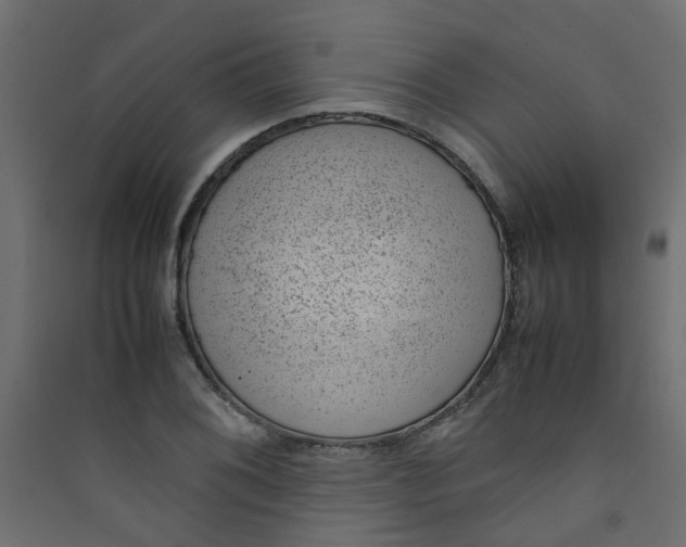 X0000089461076200707131943