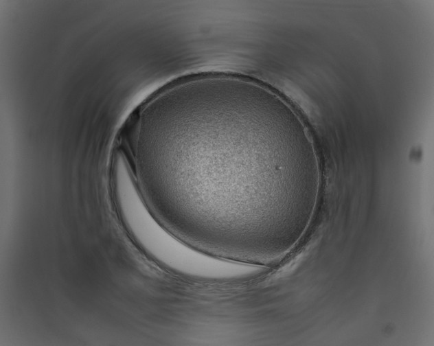 X0000089461077200707131943