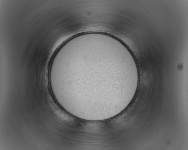 X0000089461078200707131943