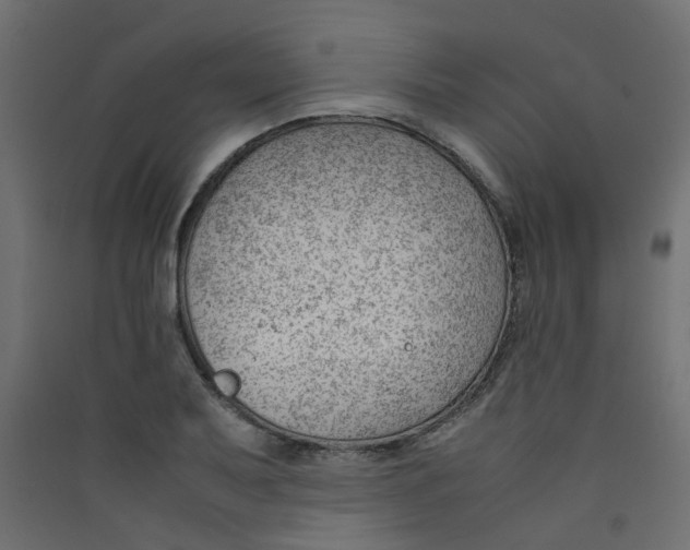 X0000089461079200707131943