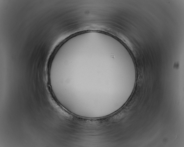 X0000089461080200707131943