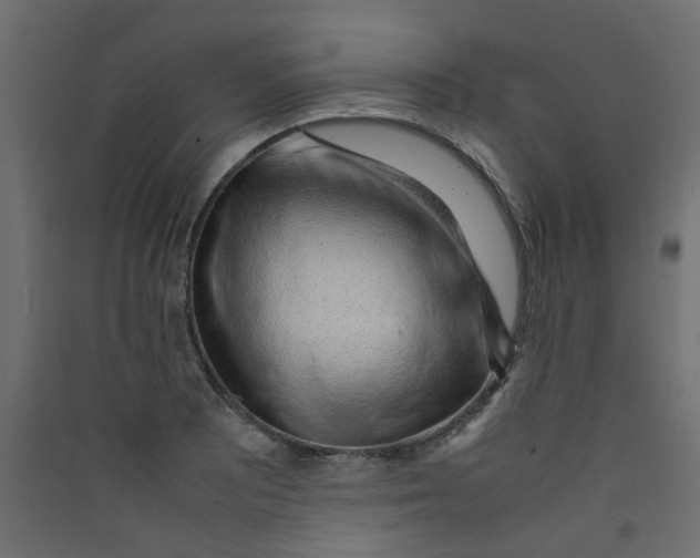 X0000089461081200707131943