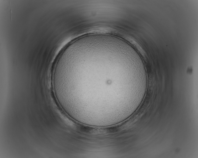 X0000089461083200707131943