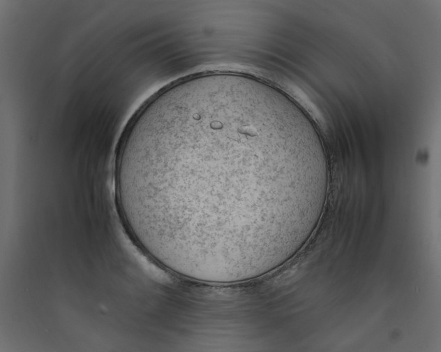 X0000089461084200707131943