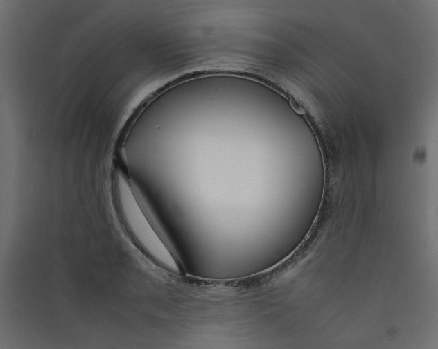 X0000089461085200707131943