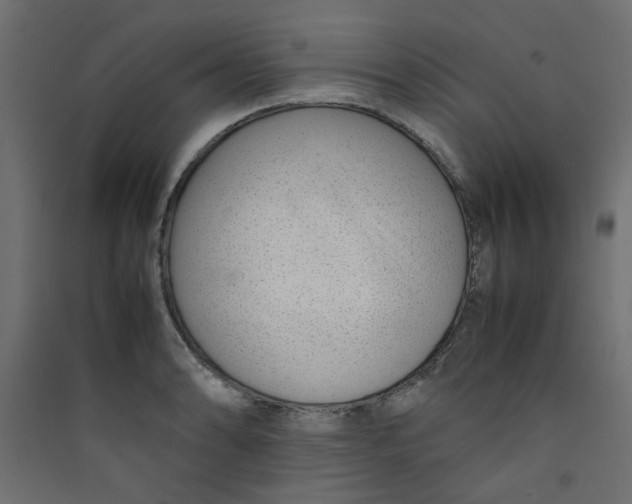 X0000089461086200707131943