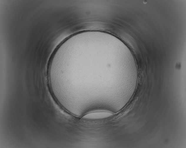 X0000089461087200707131943