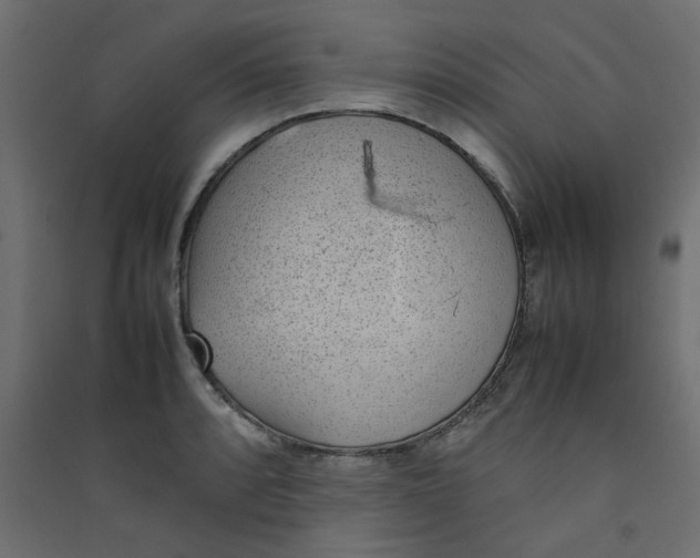 X0000089461088200707131943