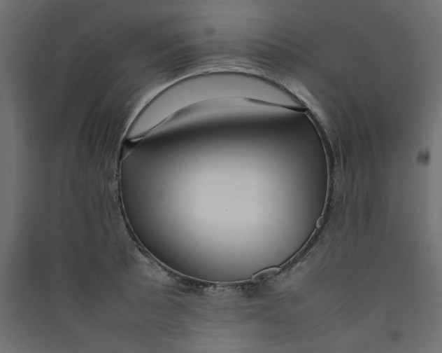 X0000089461089200707131943