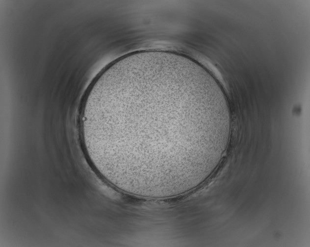 X0000089461091200707131943