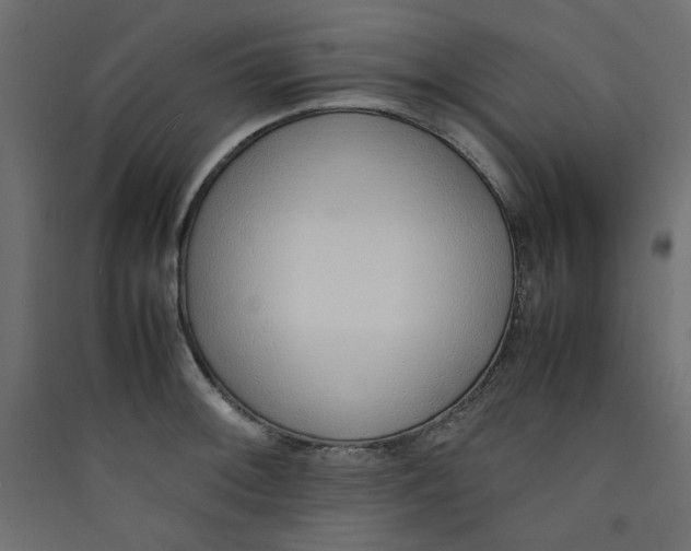 X0000089461092200707131943