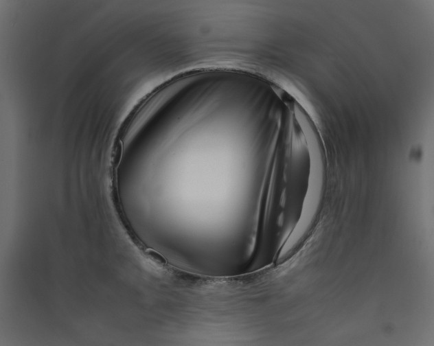 X0000089461093200707131943