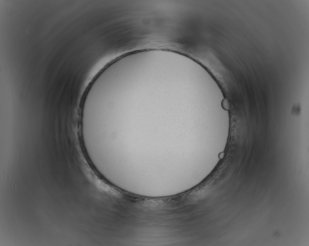 X0000089461094200707131943