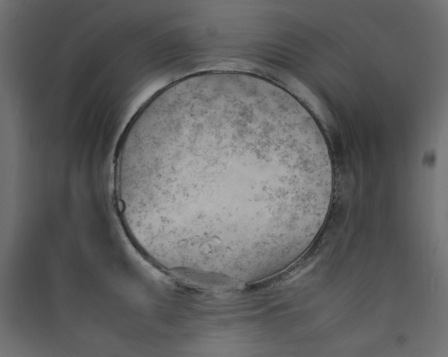 X0000089461095200707131943