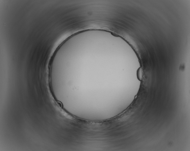 X0000089461096200707131943