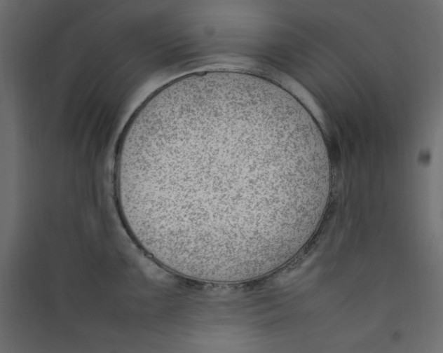 X0000089461099200707131943