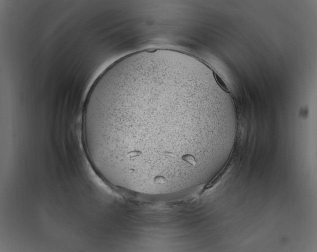 X0000089461100200707131943