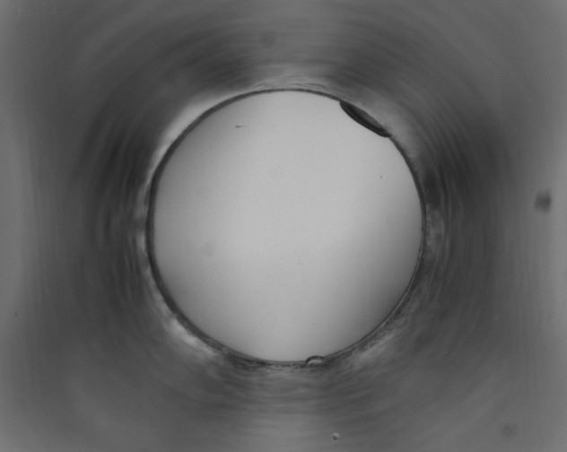 X0000089461102200707131943