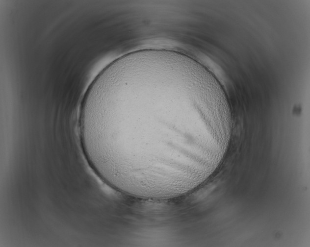 X0000089461103200707131943