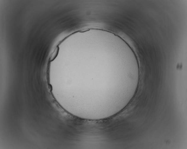 X0000089461104200707131943