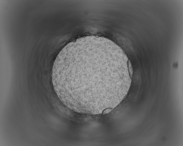 X0000089461105200707131942