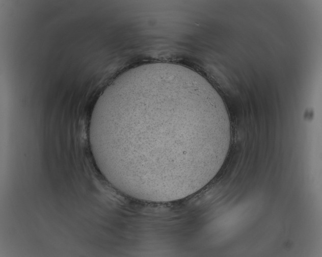 X0000089461106200707131942