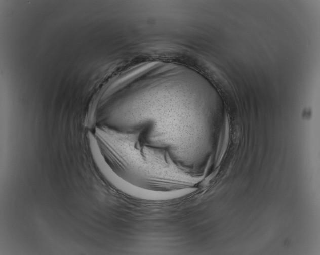 X0000089461108200707131942