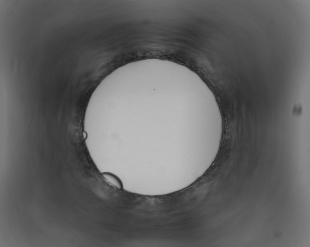 X0000089461109200707131942