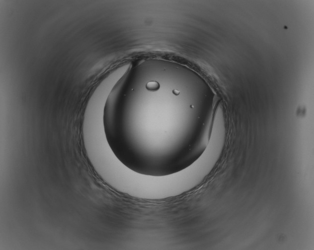 X0000089461110200707131942