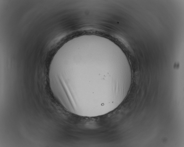 X0000089461111200707131942