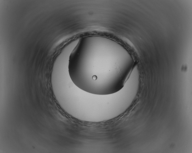 X0000089461112200707131942