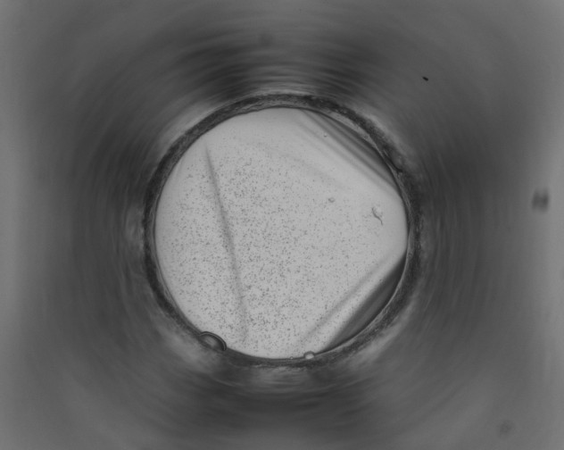 X0000089461113200707131942