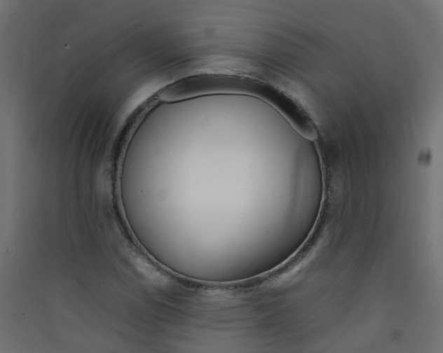 X0000089461114200707131942