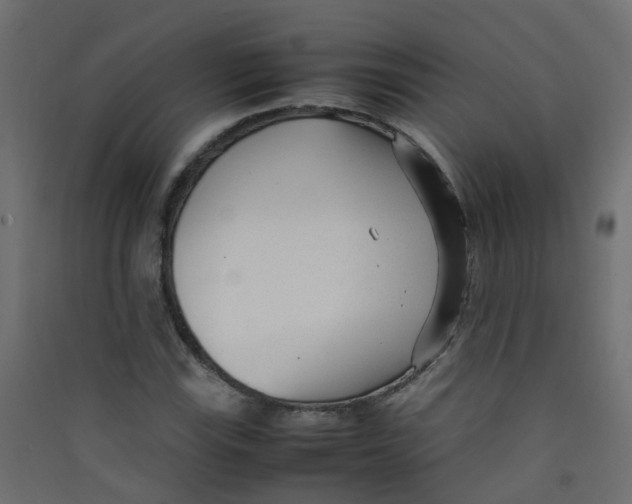 X0000089461115200707131942