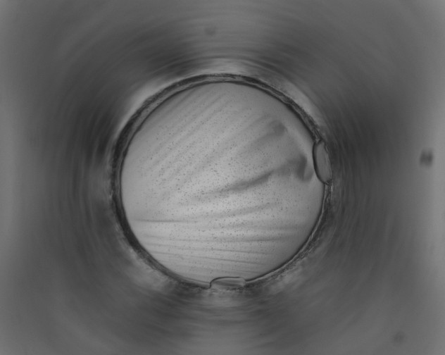 X0000089461116200707131942