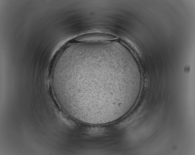 X0000089461117200707131942