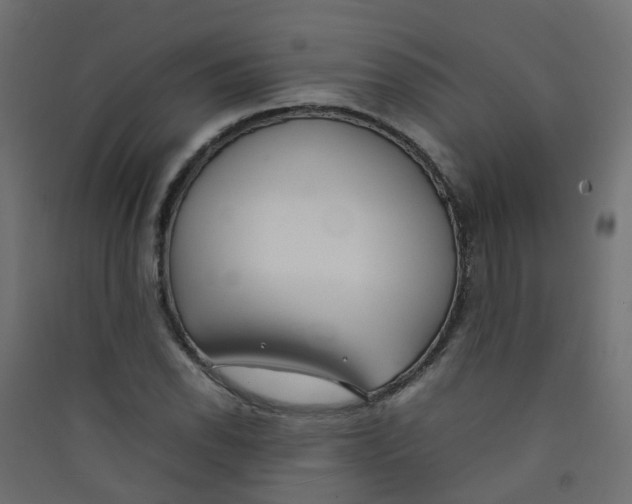 X0000089461118200707131942