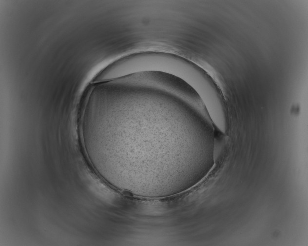 X0000089461120200707131942