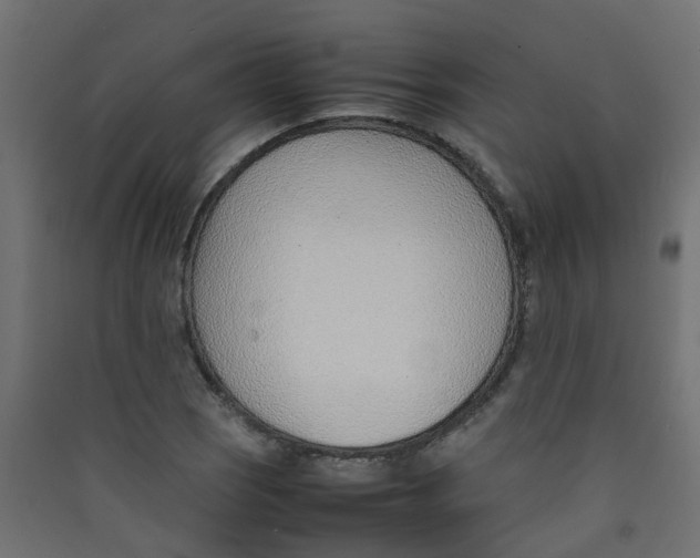 X0000089461121200707131942