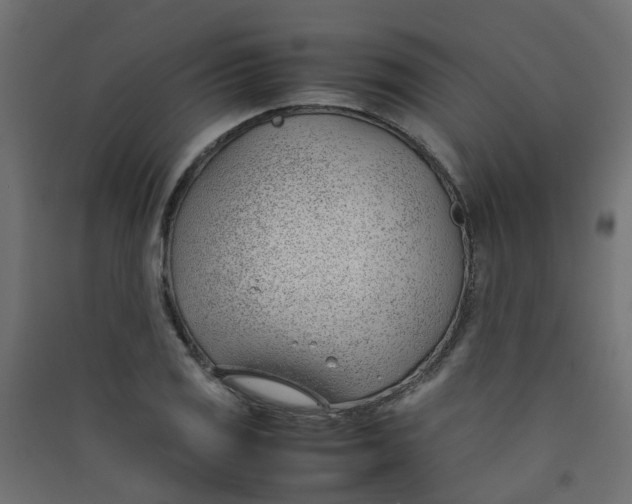 X0000089461125200707131942