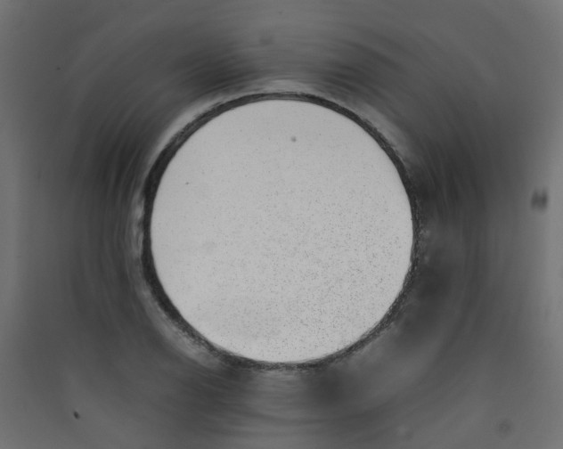 X0000089461126200707131942