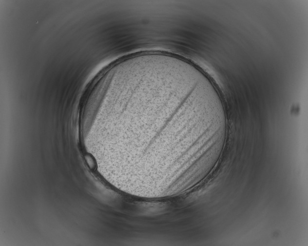 X0000089461127200707131942