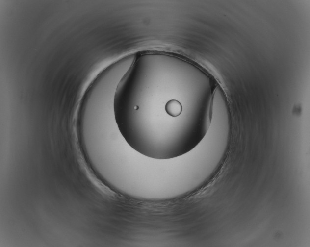 X0000089461128200707131943