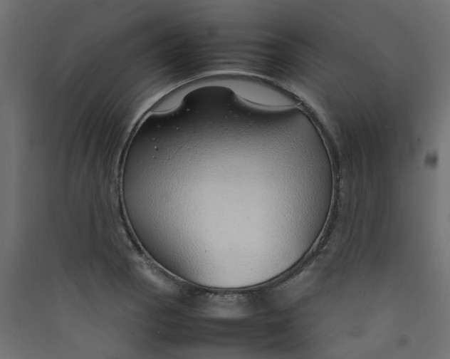 X0000089461129200707131943