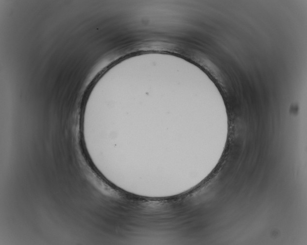 X0000089461130200707131943