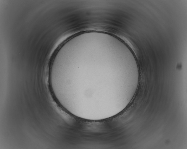 X0000089461131200707131943