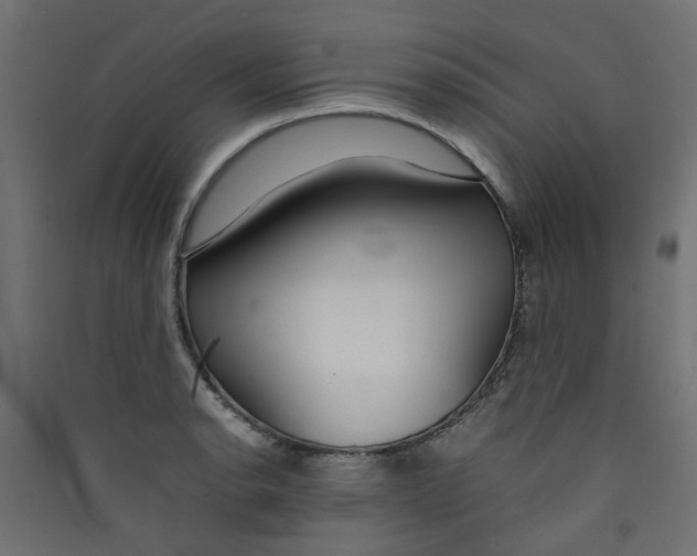 X0000089461134200707131943