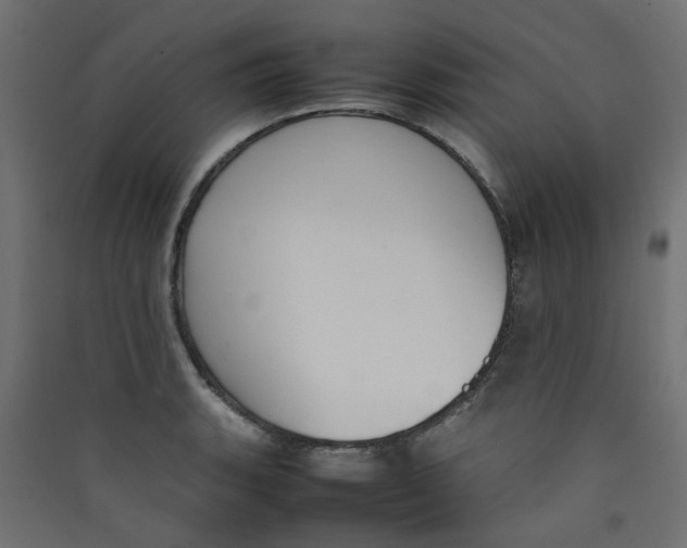 X0000089461135200707131943